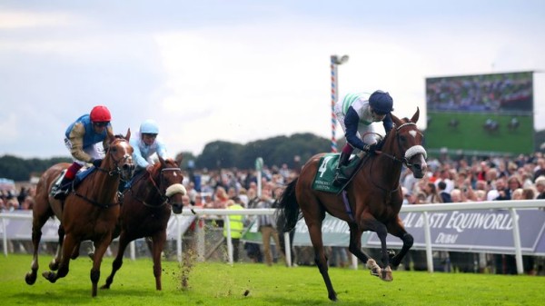 Freddy Tylicki's Betfred Doncaster Cup runner guide and big verdict on Day Two of the Leger meeting! Freddy Tylicki's Betfred Doncaster Cup runner guide and big verdict on Day Two of the Leger meeting!