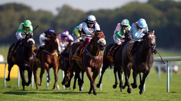 Haydock Sprint Cup: Regional provides Ed Bethell with first Group One victory for Callum Rodriguez