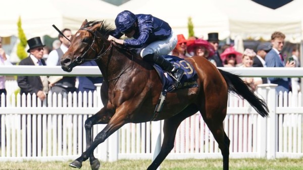 Prix de l'Arc de Triomphe: Who emerged as challengers to Ace Impact on Trials Day and who disappointed?