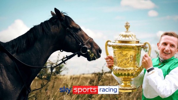 Pyledriver: King George winner retired after injury setback for William Muir team