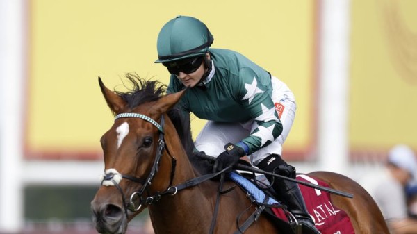 Qipco British Champions Day: Ascot is the 'end game' for Nashwa after Irish Champions Stakes defeat Qipco British Champions Day: Ascot is the 'end game' for Nashwa after Irish Champions Stakes defeat