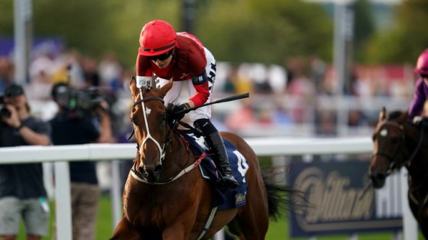 Racing League live on Sky Sports: Jamie Osborne's Wales & The West take on Kevin Blake's Ireland at Southwell