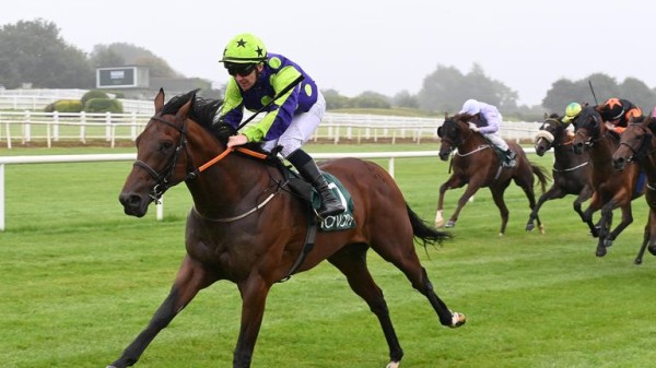 St Leger Festival: Flying Childers test at Doncaster awaits Navan scorer Francis Meynell