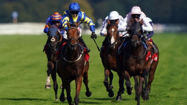 2024 Flat Season: Hollie Doyle's 10 horses to follow including Nashwa, Trueshan and Saint Lawrence 2024 Flat Season: Hollie Doyle's 10 horses to follow including Nashwa, Trueshan and Saint Lawrence