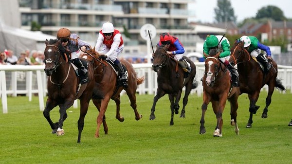 Hollie Doyle blog: Action Point goes for Two-Year-Old Trophy glory at Redcar before Champions Day at Ascot