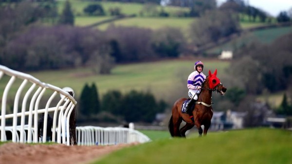 Wednesday's Tips: Six noteworthy horses at Uttoxeter including a 6/1 shot