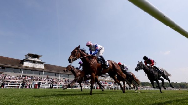 Ambiente Friendly lays down Derby gauntlet with Lingfield victory