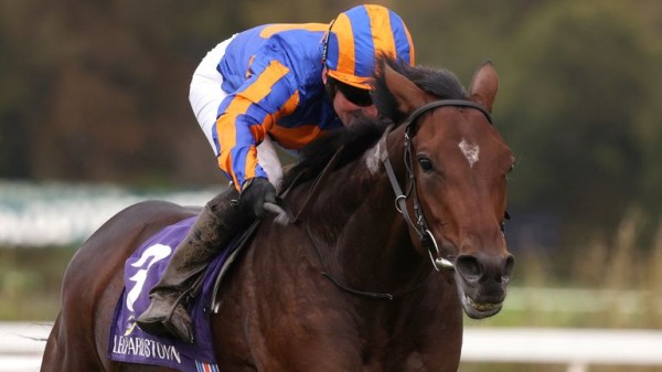 Chester's Boodles May Festival: Horse by horse guide  to the Chester Vase Stakes