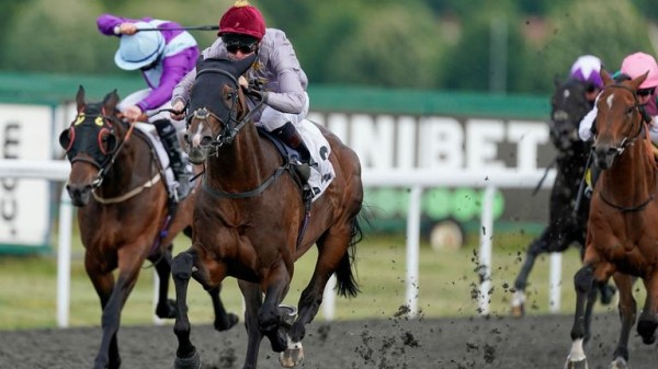 Chester's Boodles May Festival: Horses to follow this week Chester's Boodles May Festival: Horses to follow this week