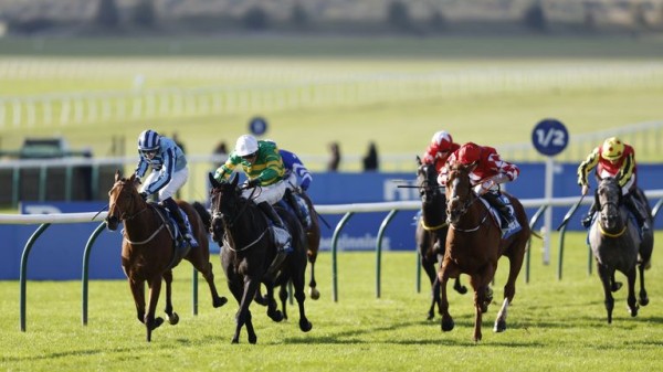Friday tips: Spirit Mixer fancied for Chester Cup crown