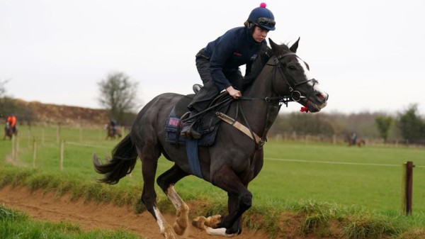 Hollie Doyle's blog: Sumo Sam the one to beat at Goodwood