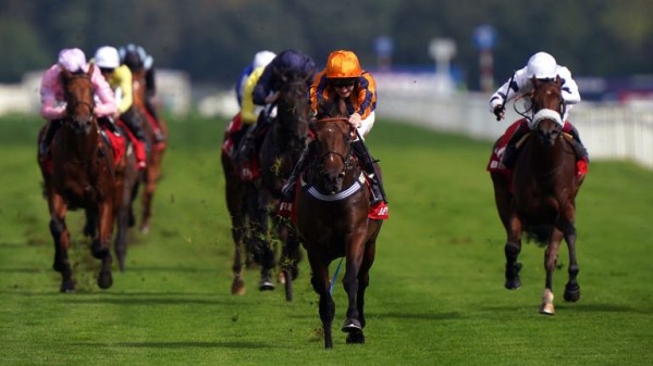 How are the Oaks and Derby pictures after Chester, the French Guineas and the Trials? 