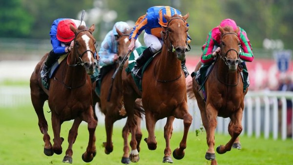 How are the Oaks and Derby pictures after Chester, the French Guineas and the Trials? 
